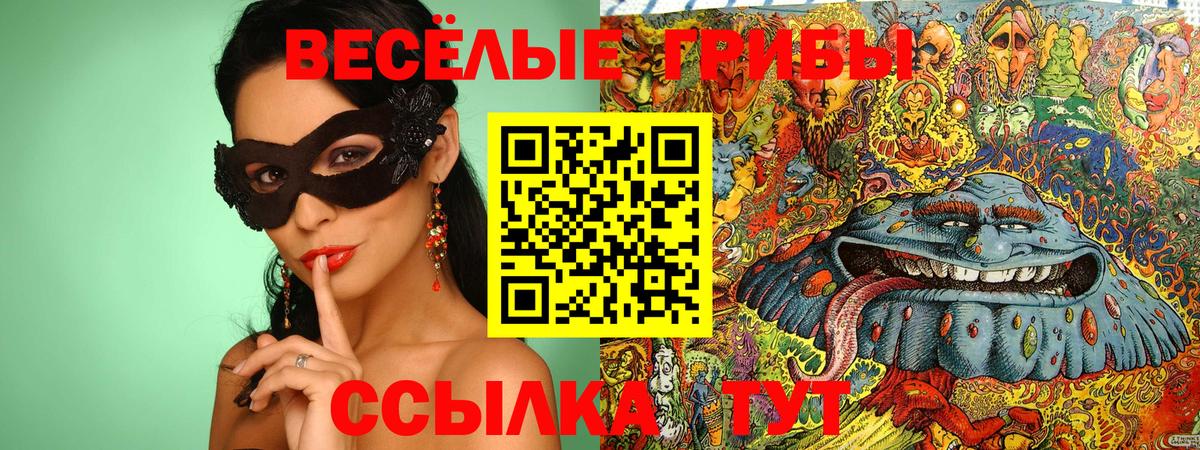 Псилоцибиновые грибы мицелий Артём