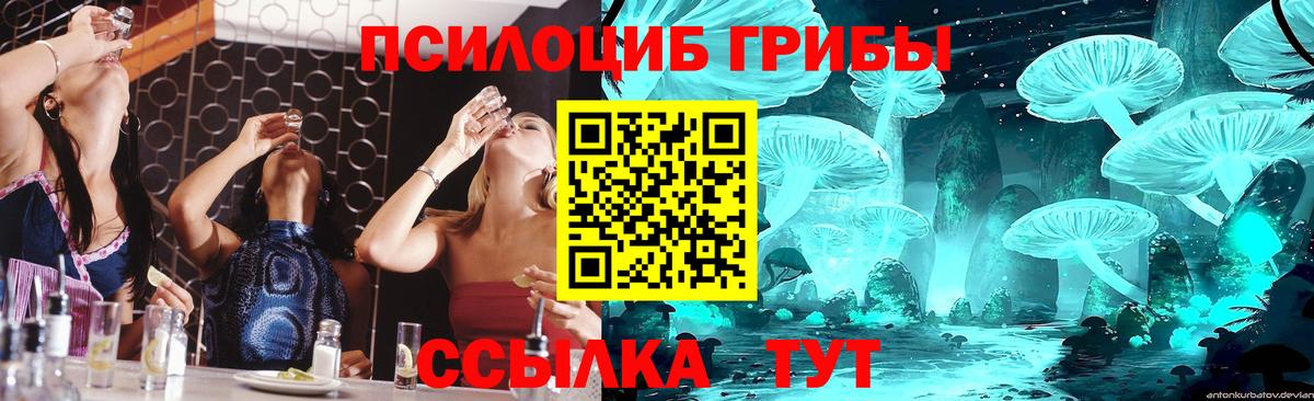 Артём  Псилоцибиновые грибы Psilocybine cubensis  Вход с VPN  Галлюциногенные грибы прущие грибы 